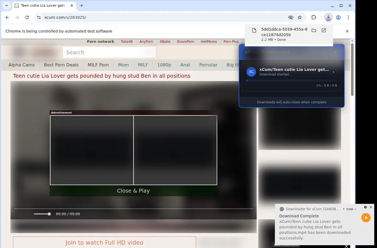 Xcum Video Downloader screenshot 2